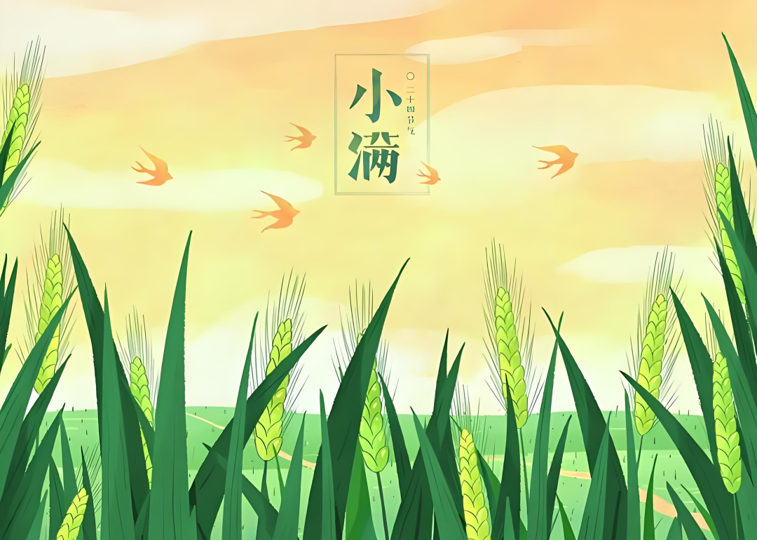 小满2025.png